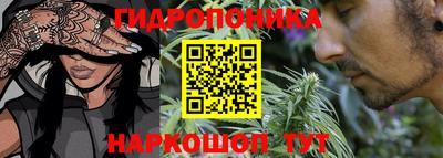 ECSTASY Малгобек