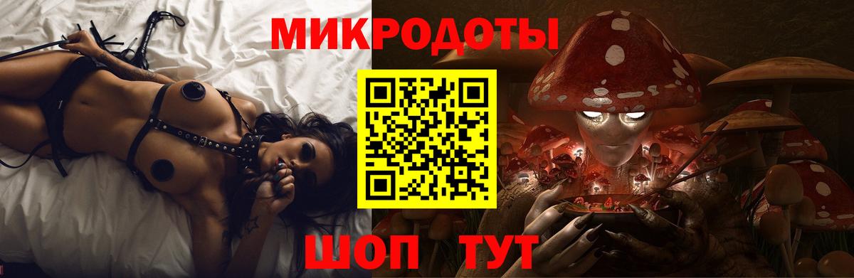 Псилоцибиновые грибы Psilocybe Губкин