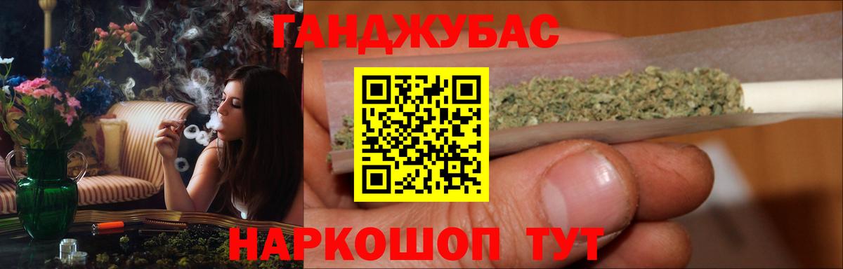 Конопля сатива Губкин